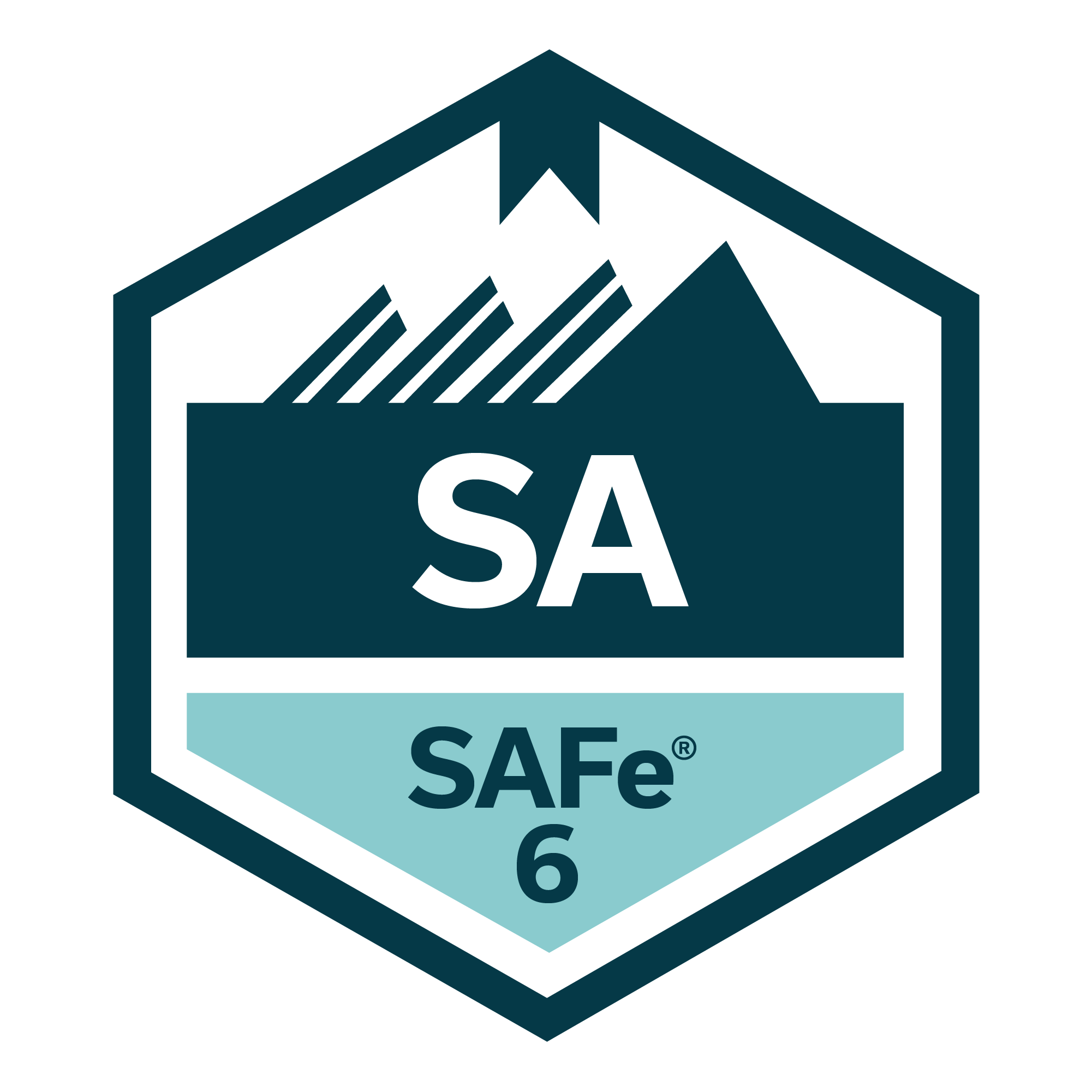 SAFe 6 Certified